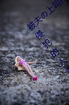 ǲ(й)ٷվ