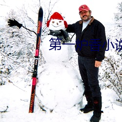 第一炉香(xiāng)小说