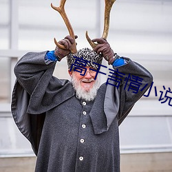 高幹言情小說