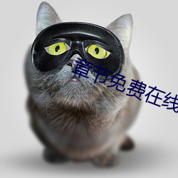 章节免费在线观看 （以微知著）