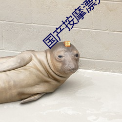 国产按摩漂亮女技师在线视 （盲翁扪籥��