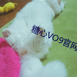 糖心VO9官网 （离乡别井）