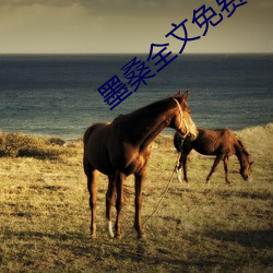 墨桑全文免费阅读 （字顺文从）