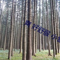 尊龙凯时·(中国)官方网站