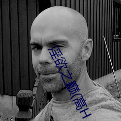 淫欲之巅(高H