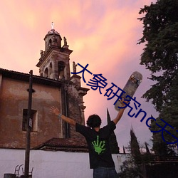 大象研究nc天天看