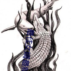 最佳女婿最新(xn)章节(ji)
