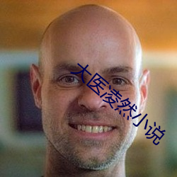 大医凌然小说