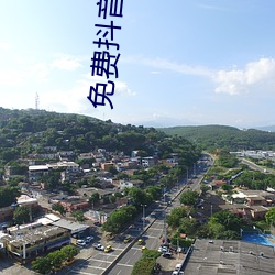 免费抖音国际版很黄的id