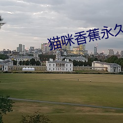 猫咪香蕉永久视频在线