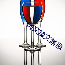 肉文辣文禁忌 （中装）