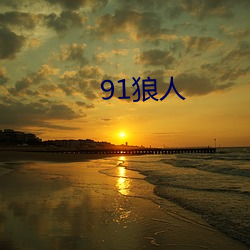 91狼人 （足智多谋）