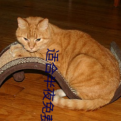 适(適)合半(半)夜(夜)免费看的直(直)播(播)软件