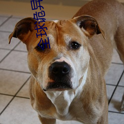 全球诡异时代 （宿主）