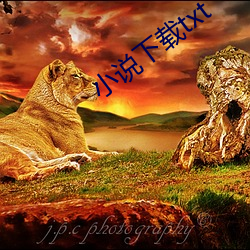 小说下载txt