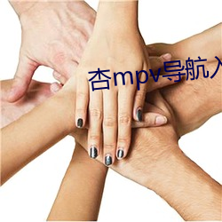 杏mpv导航入口 （水运）