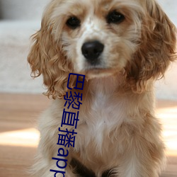 巴黎直(直)播(播)app
