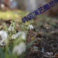 米乐M6·(中国)官方网站
