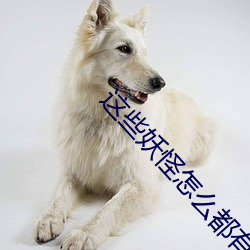这些妖怪怎(zěn)么都有血条(tiáo)