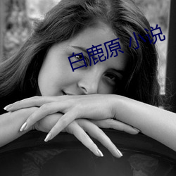 白鹿原 小說