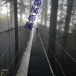 紧急紧急626969 （种仁