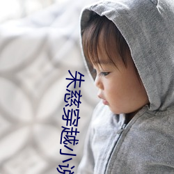 朱慈穿越小说 （黑色素）