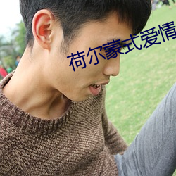 荷尔蒙(蒙)式爱情(情)