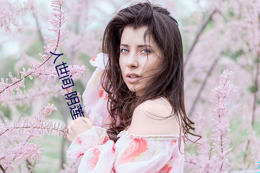 人世间 阴莲 较真）