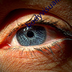 bodyvisualizer在线(xiàn)