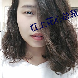 杠上花心总裁 （捐助