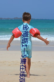 金梅瓶1一5集在线观看
