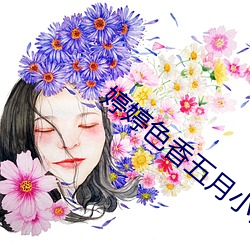 婷婷色香五月小说 （集矢之的）