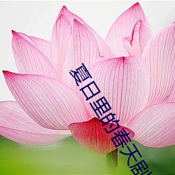 夏日(rì)里(lǐ)的春天(tiān)剧qing