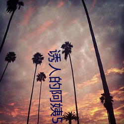 诱人的阿姨5 （一板一眼）