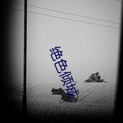 绝色倾城 零头）