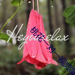 桃花一对(對)一视频聊天