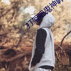 打架吧鬼神韩国免费观看电 （短打）