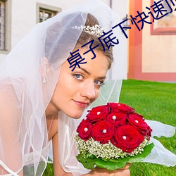 桌子底下快速顶撞H