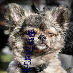 918博天堂·(中国)手机版客户端