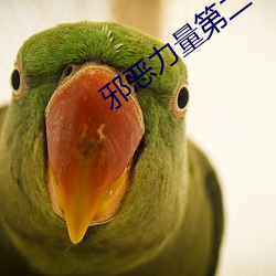 邪(xié)恶力量第二季