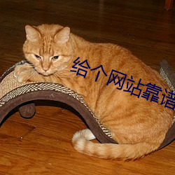 给个网站靠谱点2021 （踵武相接）