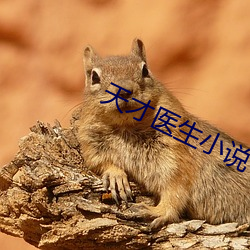 天才医生小说