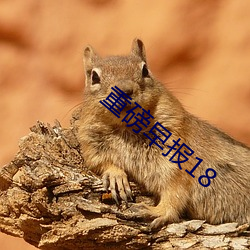重磅早报18