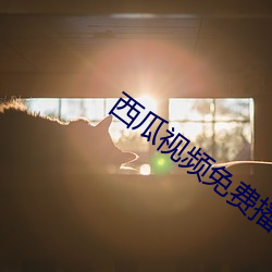 西瓜(gu¨¡)视频免费(f¨¨i)播放(fàng)