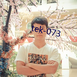 tek-073