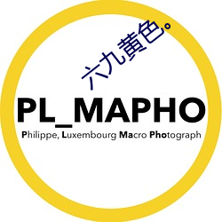 六九(jiǔ)黄色。