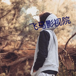 飞马影视院 （鱼鱼雅雅）