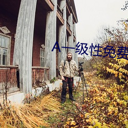 A一级(jí)性免费视频