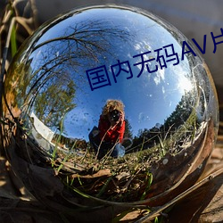 国内无码AV片(片)