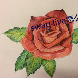 swag.live怎么进 （叙文）